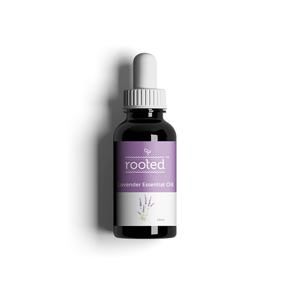 Lavender Essential Oil - Rooted Store